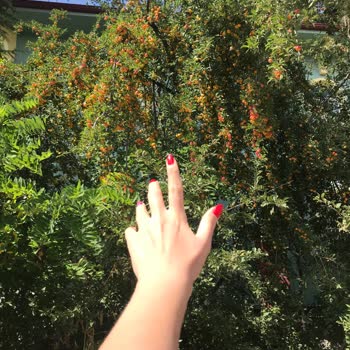 Eti Gıda Eti Gong Paketinden Böcek Çıktı