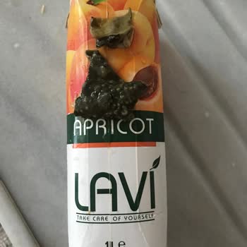 Lavi Juice Meyve Suyundan Çıkan Şey