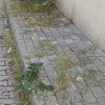 Bursa Yıldırım Belediyesi Temizlik Ve Kaldırımda Çıkan Otların Temizliği