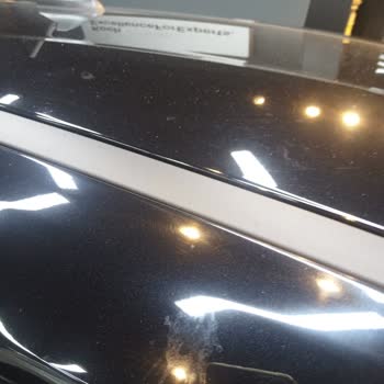 Bird Droppings Cause Bubbling in Ford Puma Paint