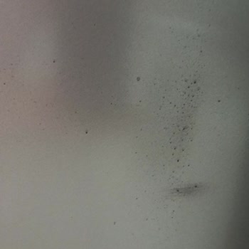 Arçelik Marka Buzdolabı Sağ Yan Tarafında Boya Akıntı