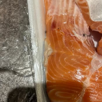 Carrefour SA'dan Aldığım Balık Böceklenmişti!
