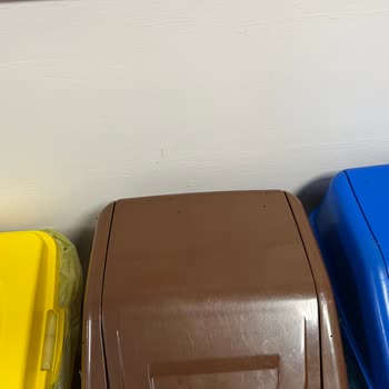 Kartal Koşuyolu Eğitim ve Araştırma Hastanesi İhmalkarlık Ve Sineklenme