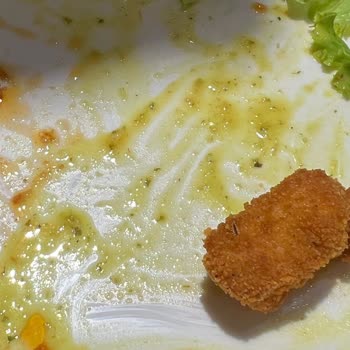 Tavuk Dünyası Kızarmış Böcekli Tavuk