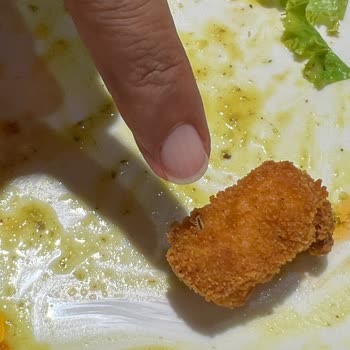 Tavuk Dünyası Kızarmış Böcekli Tavuk