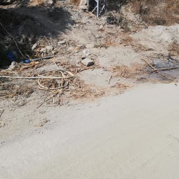 Alanya Belediyesi Çevre Kirliliği Koku Ve Gürültü