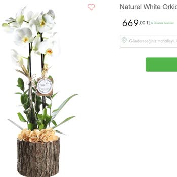 Taze Çiçek'ten Orkide Aldık. Yaprakları Solmuş Halde Teslim Edildi.