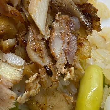 Zarif Döner Tavuk Dönerden Böcek Çıktı