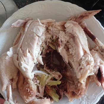 Hastavuk Hijyen Eksikliği Ve Bozulma