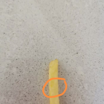 Burger King Ürünleri. Kıl Çıktı!