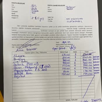 İstanbul Veteriner Hekimler Odası Veteriner Hekimliği Yanlış Tedavi