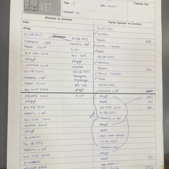 İstanbul Veteriner Hekimler Odası Veteriner Hekimliği Yanlış Tedavi