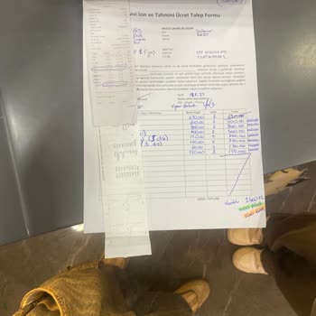İstanbul Veteriner Hekimler Odası Veteriner Hekimliği Yanlış Tedavi