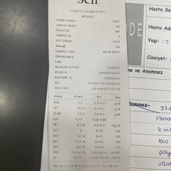 İstanbul Veteriner Hekimler Odası Veteriner Hekimliği Yanlış Tedavi