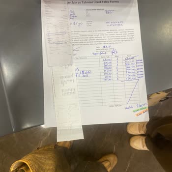 İstanbul Veteriner Hekimler Odası Veteriner Hekimliği Yanlış Tedavi