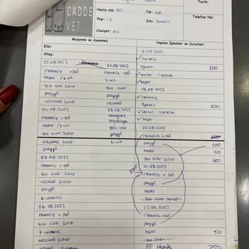 İstanbul Veteriner Hekimler Odası Veteriner Hekimliği Yanlış Tedavi