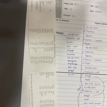 İstanbul Veteriner Hekimler Odası Veteriner Hekimliği Yanlış Tedavi