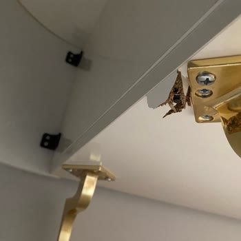 Modalife Kusurlu Ürünler Ve Kırık Mobilya