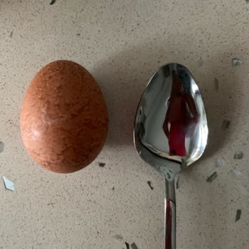 Raya Organik Raya Yumurta Boyutları Çok Küçük Ve Tarih Yok!