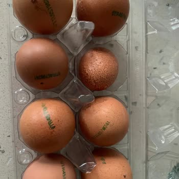 Raya Organik Raya Yumurta Boyutları Çok Küçük Ve Tarih Yok!