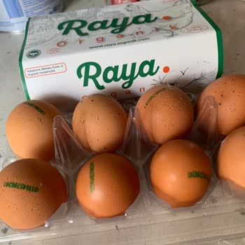 Raya Organik Raya Yumurta Boyutları Çok Küçük Ve Tarih Yok!