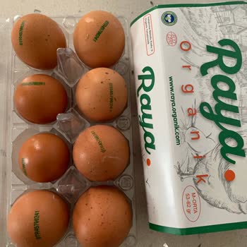 Raya Organik Raya Yumurta Boyutları Çok Küçük Ve Tarih Yok!