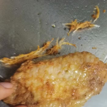 Lezita Soslu Piliçlerin Tüylü Çıkması