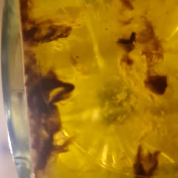 MarmaraBirlik Naturel Sızma Zeytinyağ Bozuk Çıkması