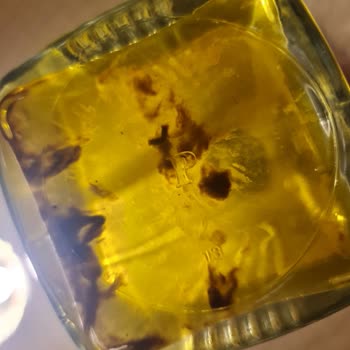 MarmaraBirlik Naturel Sızma Zeytinyağ Bozuk Çıkması