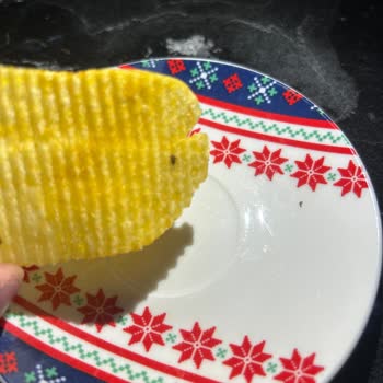 Yediğim Ruffles Markalı Üründen Ölmüş Sinek Çıkması