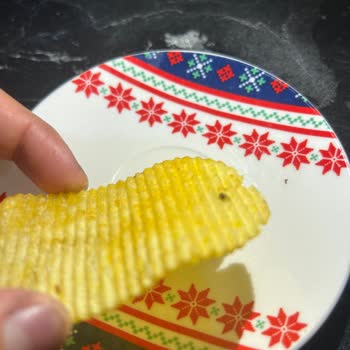 Yediğim Ruffles Markalı Üründen Ölmüş Sinek Çıkması