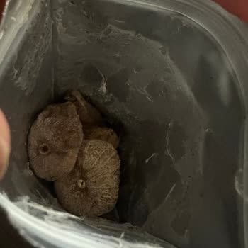 Migros Bozulmuş Ürün Satıyor