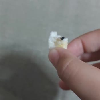 Eti Gıda Gongu Mda Siyah Bir Madde Çık Tı