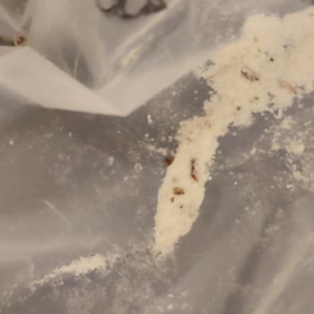 Bitli Ve Böcekli Eriş Un Lezzet Ödülü Buğday Unu