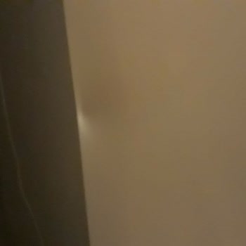 Protrans Evden Eve Nakliyat Protrans Firmasının Eşya Kaybetmesi Ve Eşyaya Zarar Vermesi