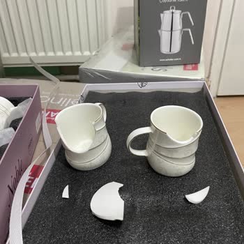 Schafer Özensizliği Ve İlgisizliği