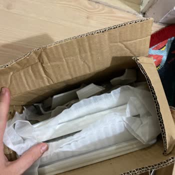 Schafer Özensizliği Ve İlgisizliği