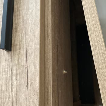 Adore Mobilya Uzun Servis Süresi