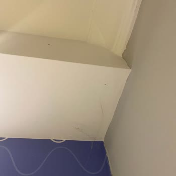 Loxia Comfort Club Side Temizlik Yok, Örümcek Ağlarıyla Uyuyoruz