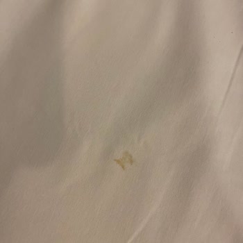 Loxia Comfort Club Side Temizlik Yok, Örümcek Ağlarıyla Uyuyoruz