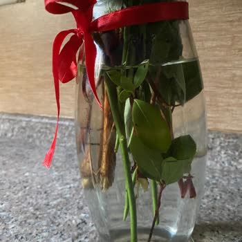 Osevio.com Görseldeki Ürün Gelmedi