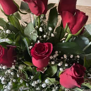 Osevio.com Görseldeki Ürün Gelmedi