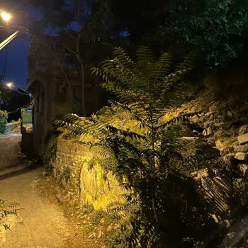 Airbnb'de Kiraladığımız Evden Dolayı Yaşadığımız Sorunlar