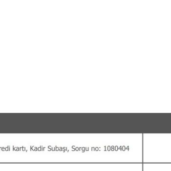 Denizbank Kredi Kartına Yanlış Ödeme