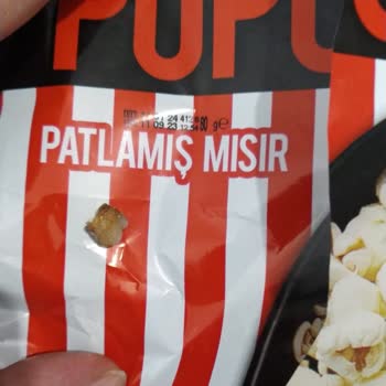 Çerezza Mısır İçinde Diş Çıktı