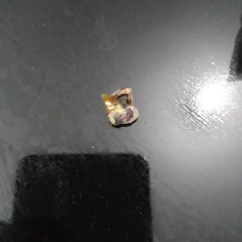 Çerezza Mısır İçinde Diş Çıktı