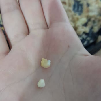 File Market Pastaları File Market Pastaları File Market Latte Pasta