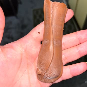 Ülker Laviva Küflü!