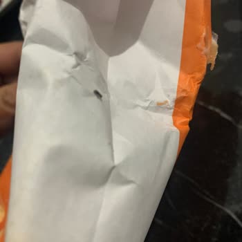 Söke Undan Böcek Çıkması