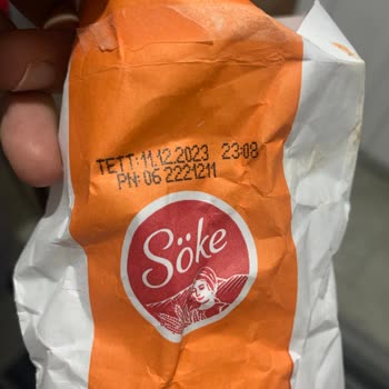 Söke Undan Böcek Çıkması